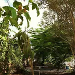 Casa En El Centro De Fuerteventura *